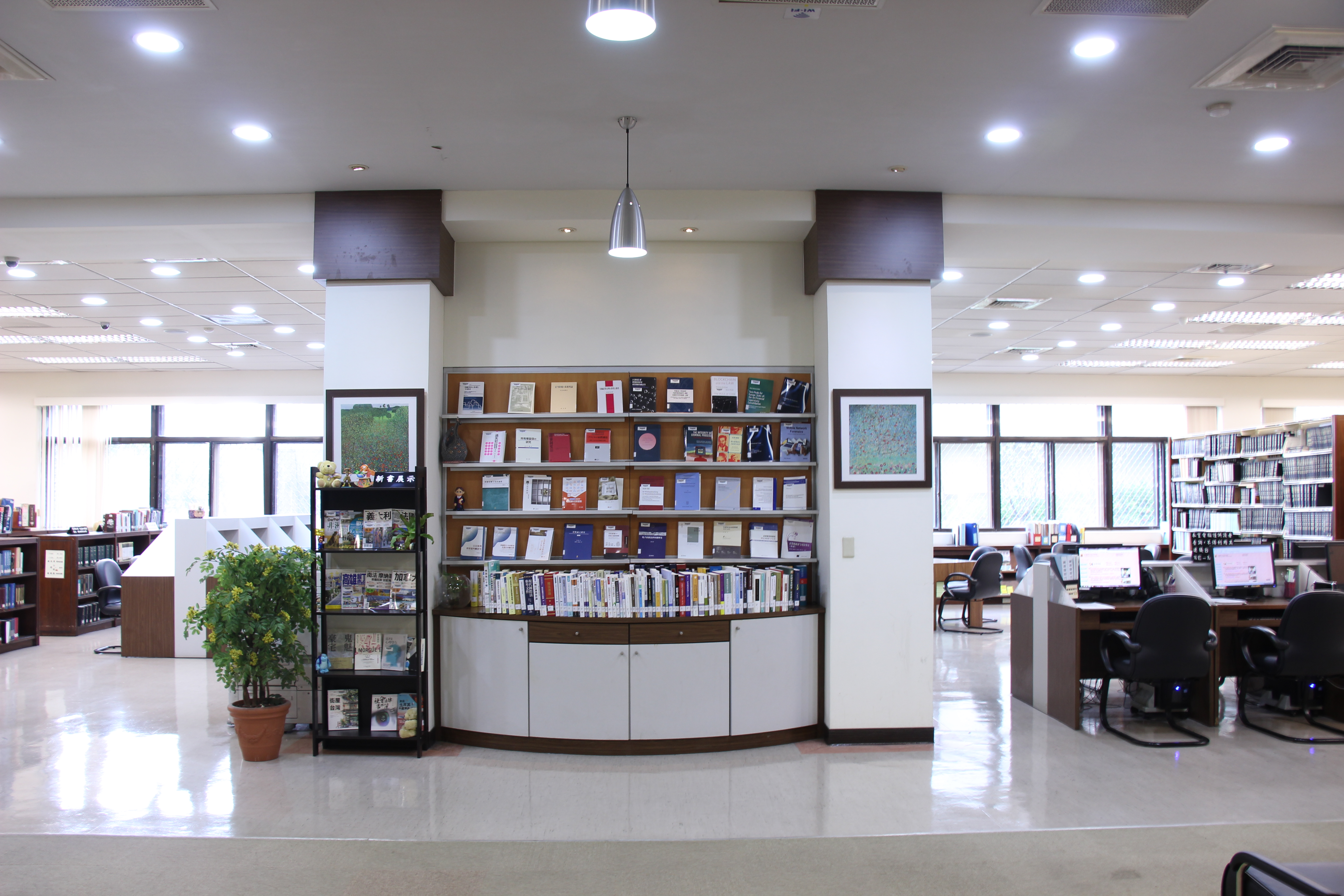 Library Newbook area Photo
