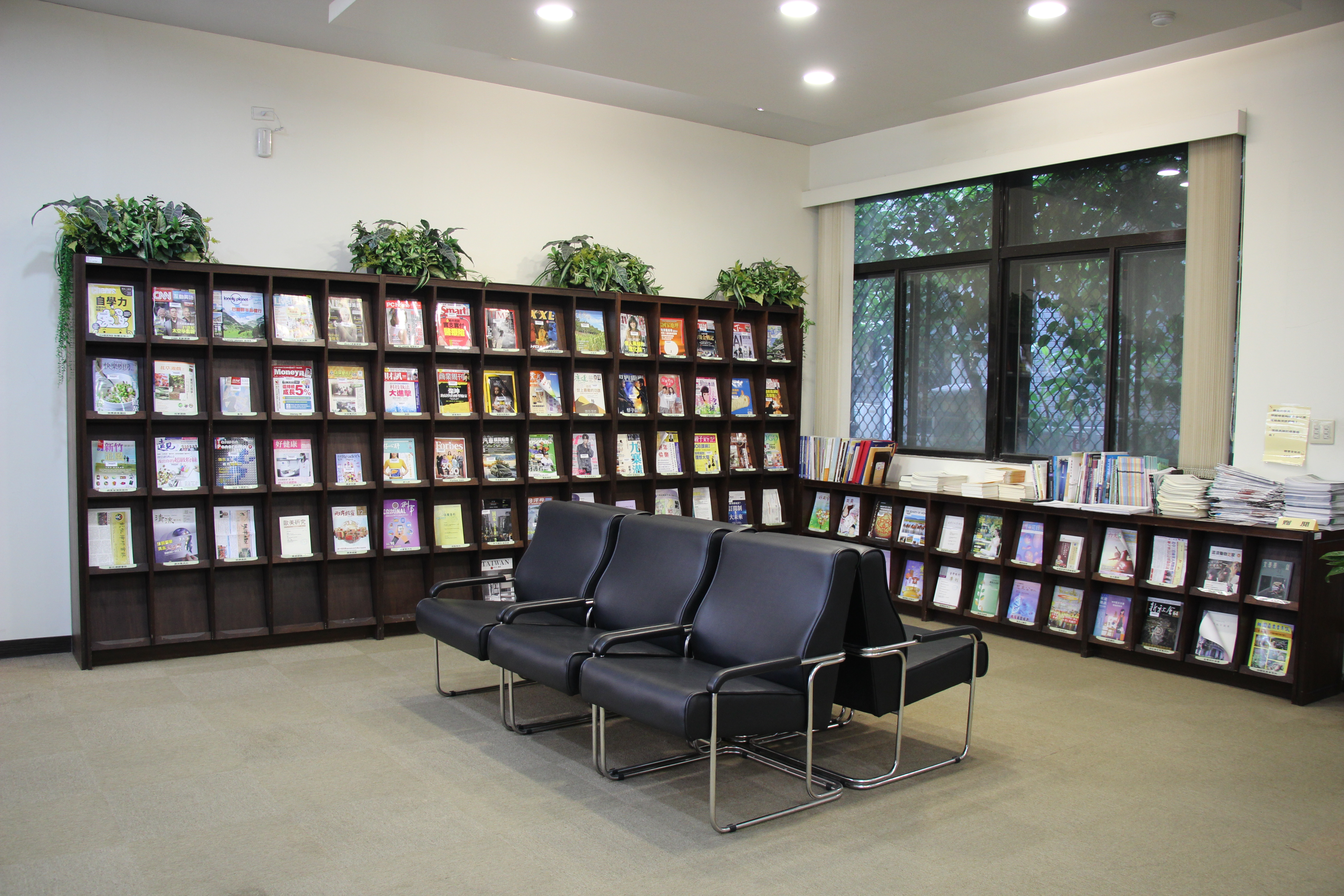 Library Magazine Area Photo
