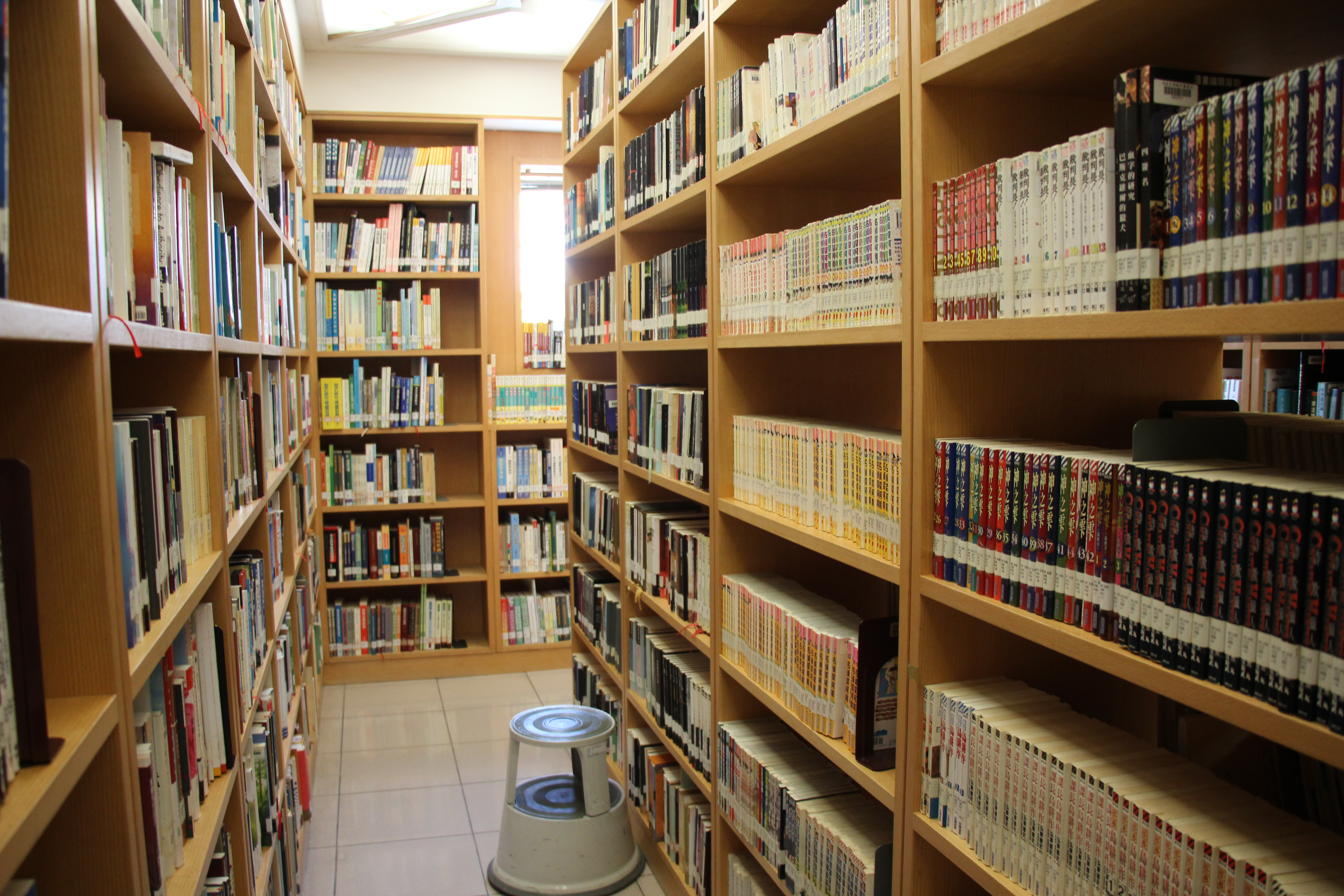 Library Bookshelf Photo