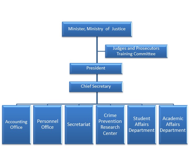 Organization Chart