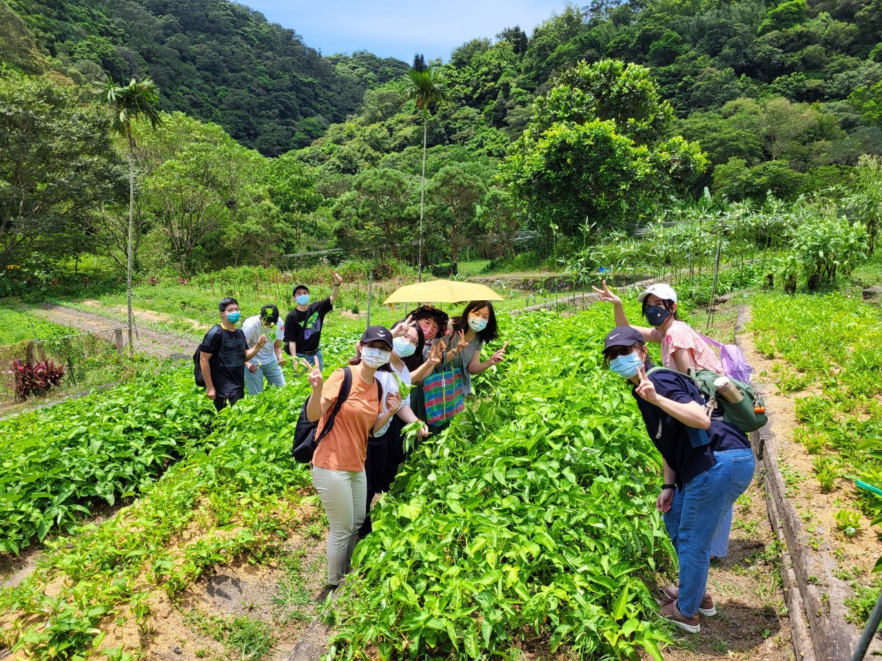 LINE_ALBUM_2022714 觀護人班第41期宜蘭頭城農場_220715_26