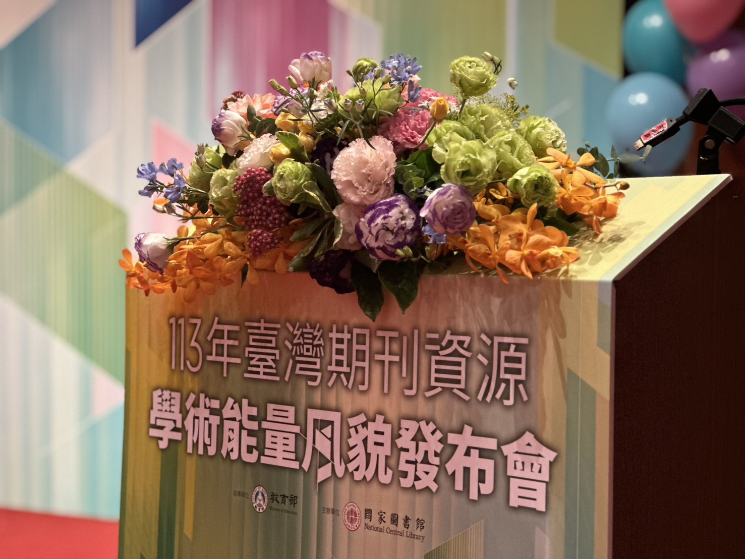 照片3